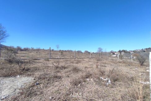 xr:d:DAENlLFZxZM:5137,j:2186894133427428552,t:23071416