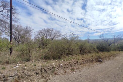 xr:d:DAENlLFZxZM:5118,j:8023556359701481462,t:23061615