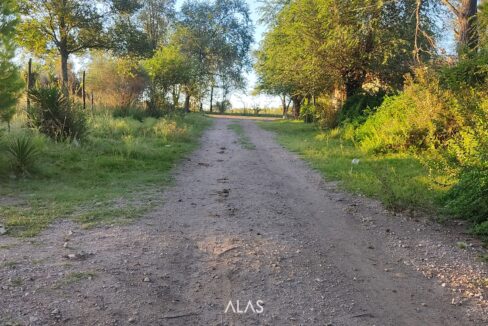 xr:d:DAENlLFZxZM:4845,j:43655722571,t:23032021