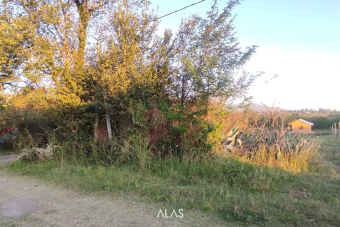 xr:d:DAENlLFZxZM:4845,j:43655722571,t:23032021