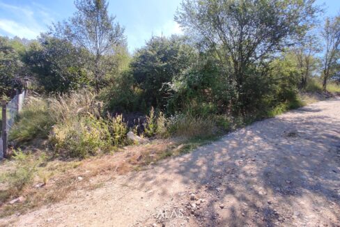 xr:d:DAENlLFZxZM:4906,j:44597034943,t:23040414