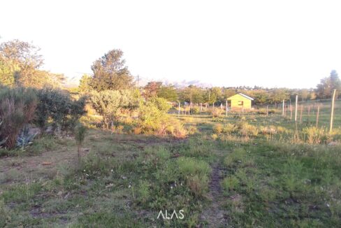 xr:d:DAENlLFZxZM:4845,j:43655722571,t:23032021