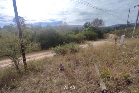 xr:d:DAENlLFZxZM:5112,j:6433785685712340825,t:23061614