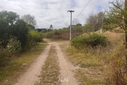 xr:d:DAENlLFZxZM:5112,j:6433785685712340825,t:23061614