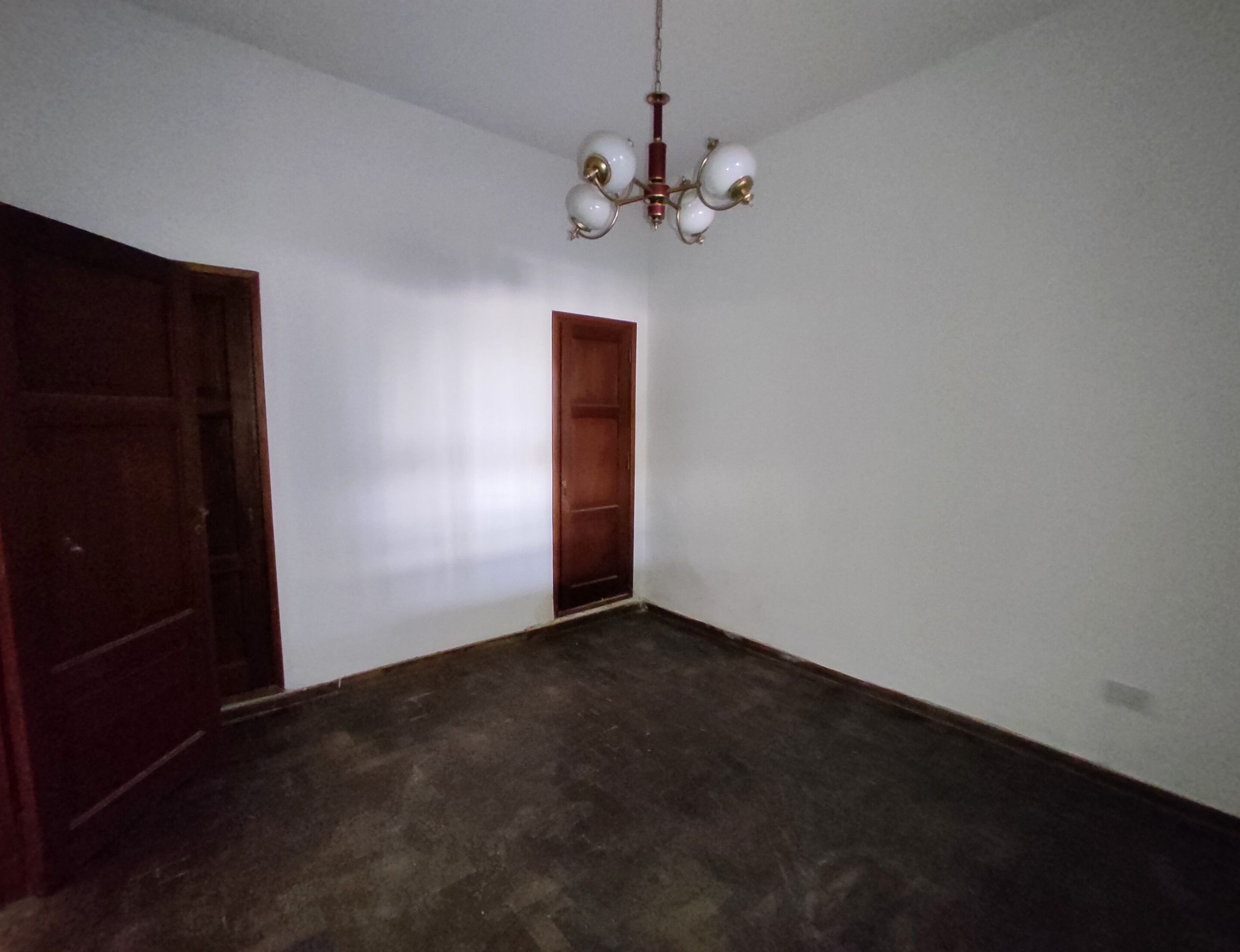 xr:d:DAFzDu6mgHo:58,j:698470953717550136,t:23122117