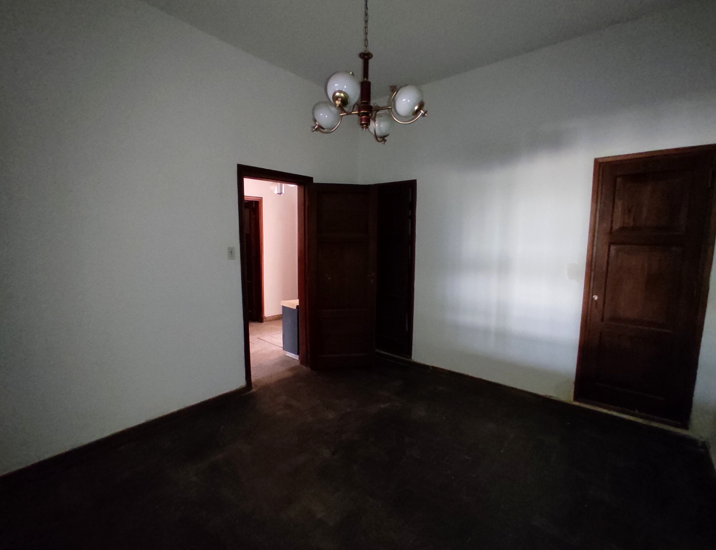 xr:d:DAFzDu6mgHo:58,j:698470953717550136,t:23122117