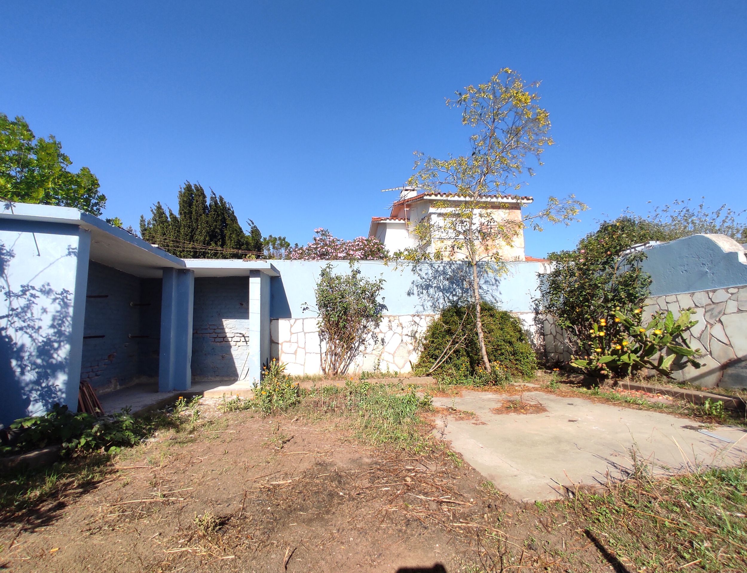 xr:d:DAFzDu6mgHo:58,j:698470953717550136,t:23122117