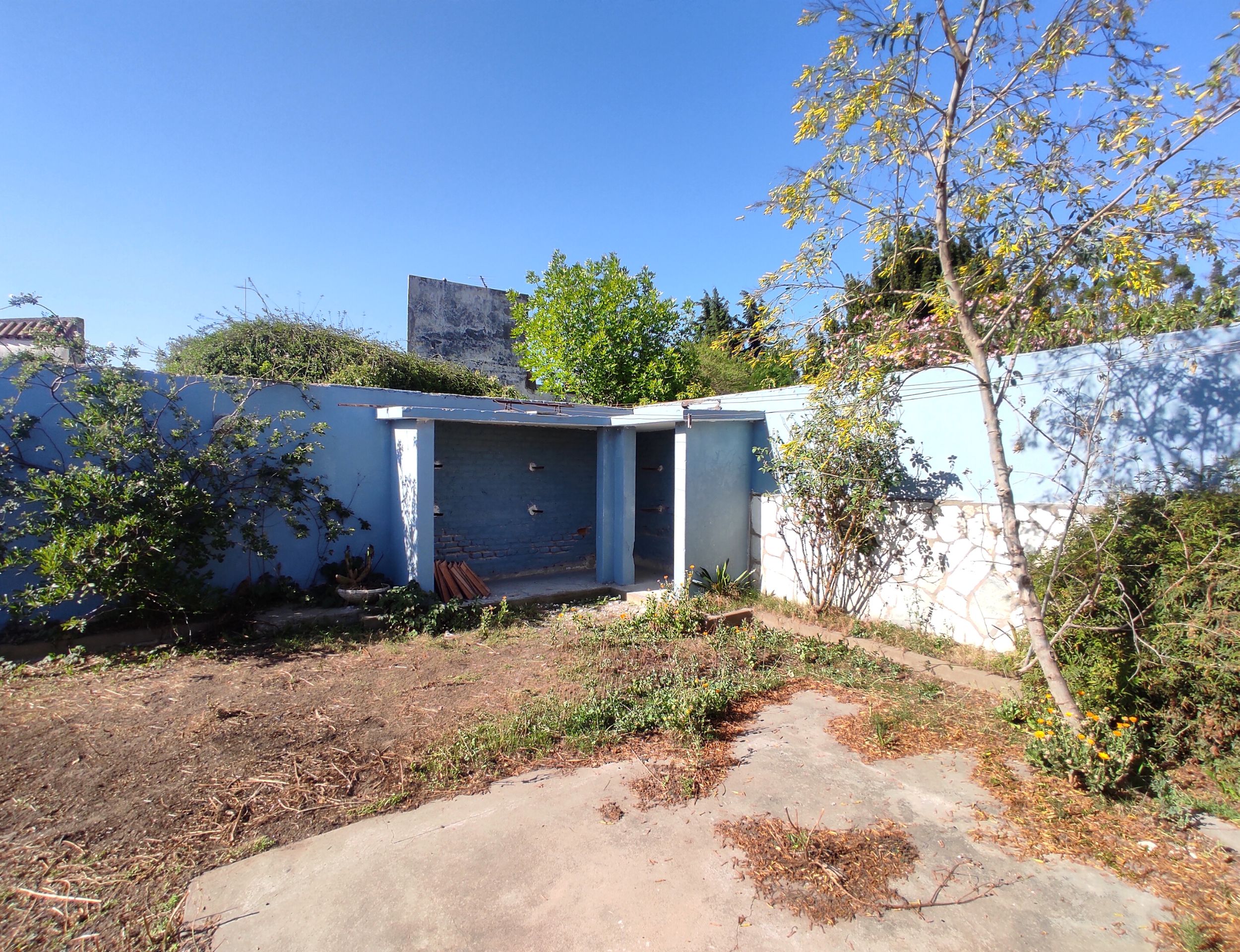 xr:d:DAFzDu6mgHo:58,j:698470953717550136,t:23122117