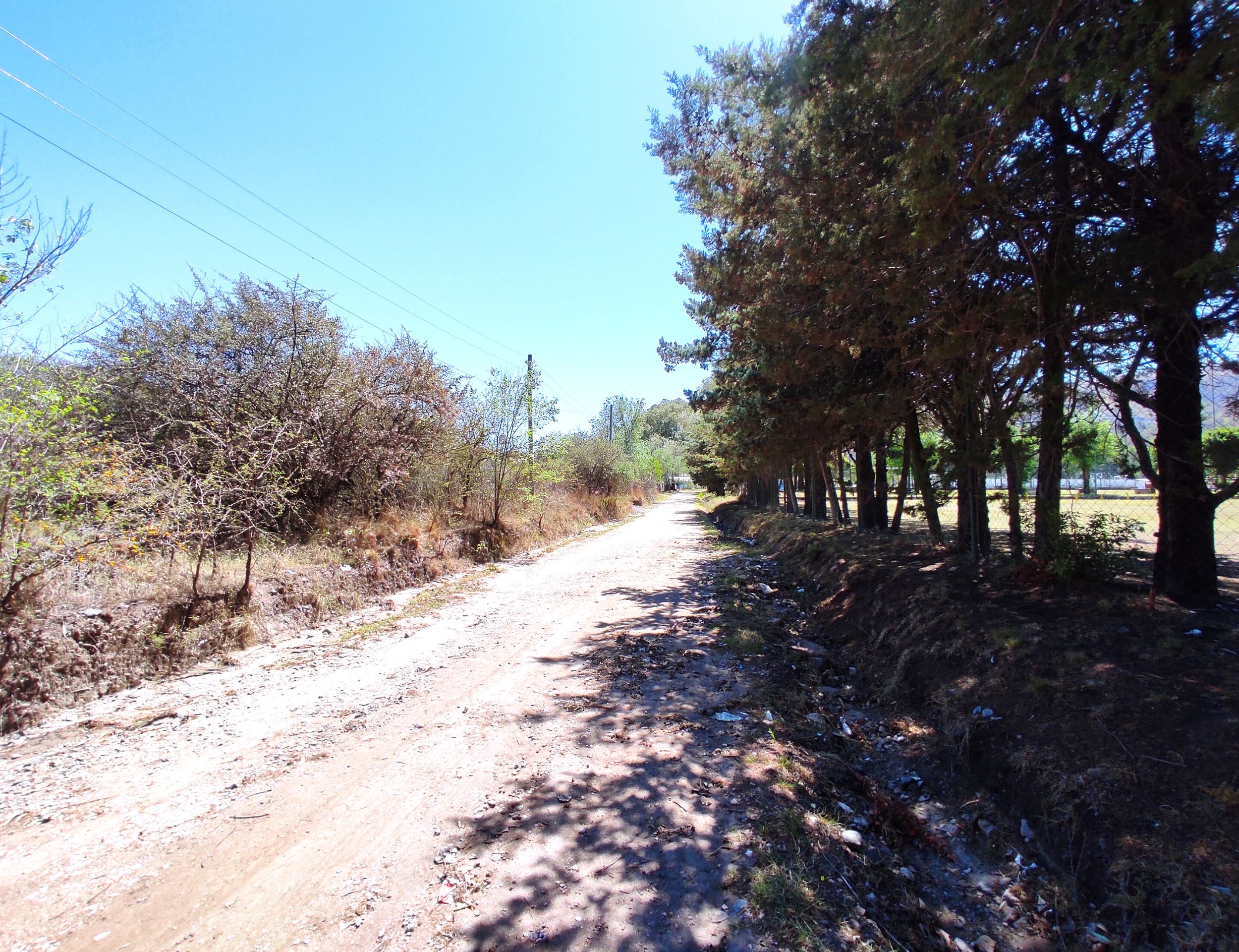 xr:d:DAENlLFZxZM:4544,j:43729351903,t:22121520