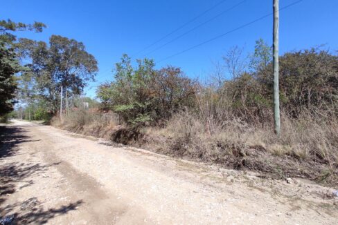 xr:d:DAENlLFZxZM:4544,j:43729351903,t:22121520