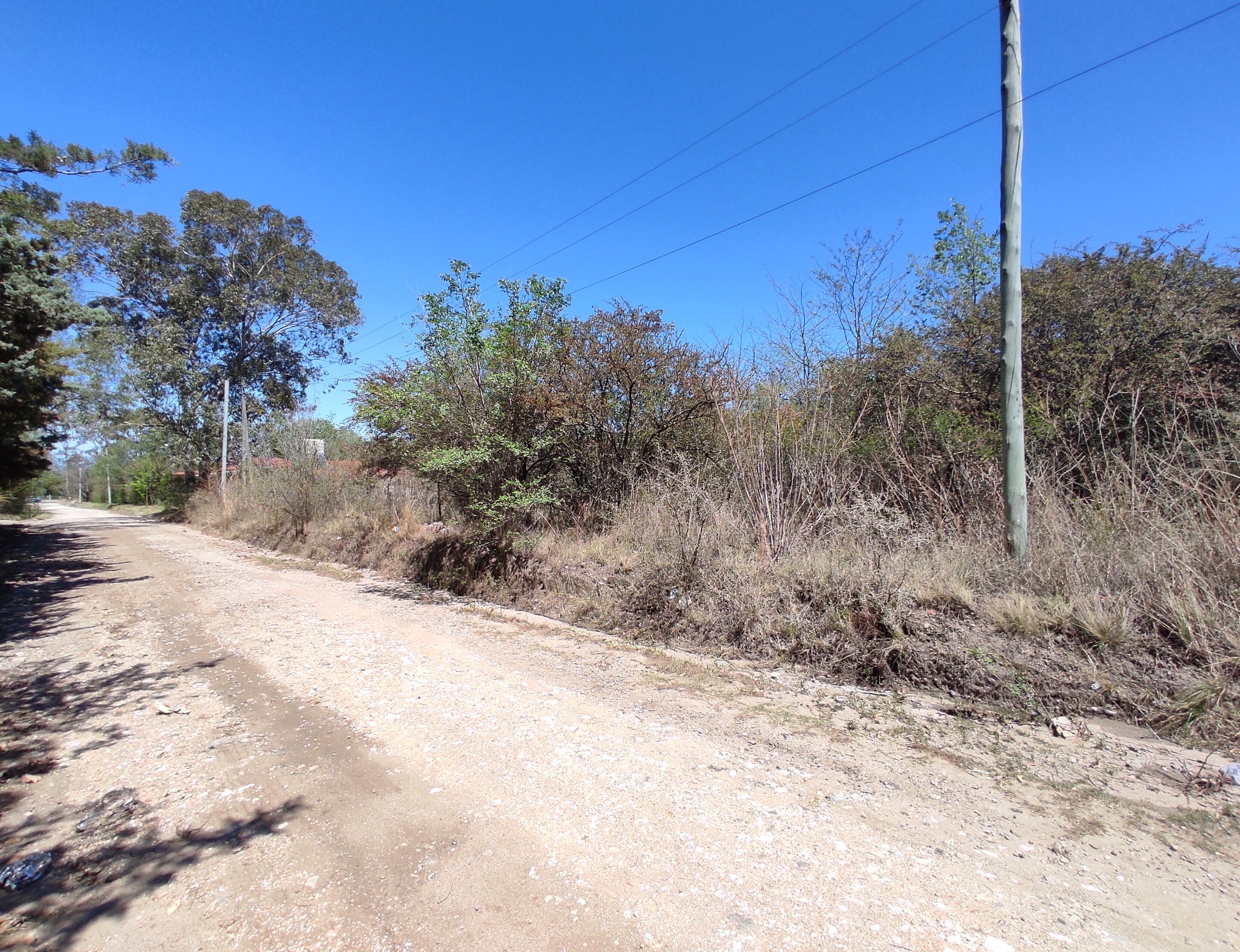 xr:d:DAENlLFZxZM:4544,j:43729351903,t:22121520