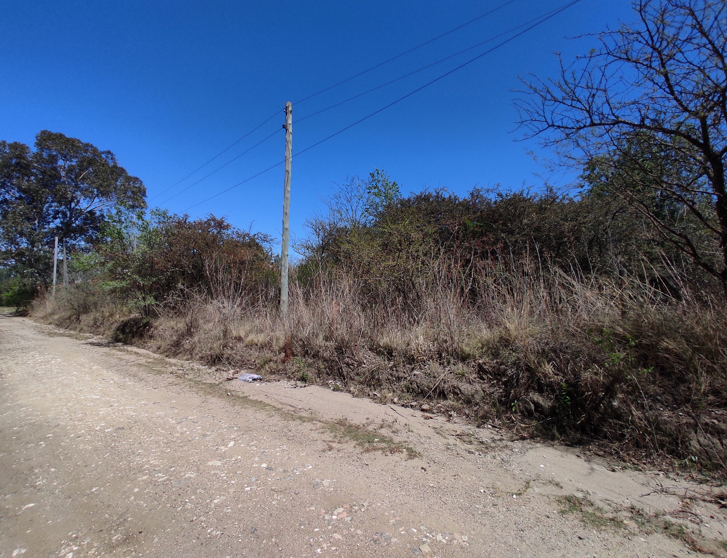 xr:d:DAENlLFZxZM:4544,j:43729351903,t:22121520