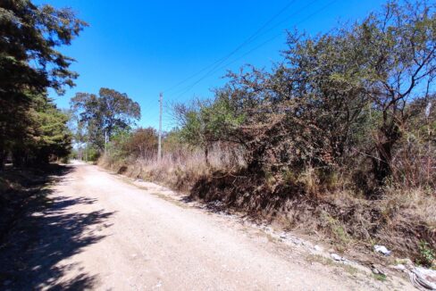 xr:d:DAENlLFZxZM:4545,j:43729417491,t:22121520