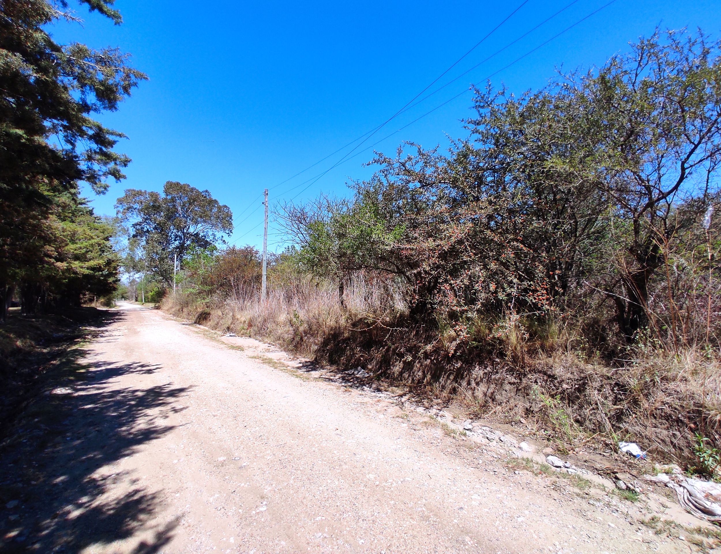 xr:d:DAENlLFZxZM:4545,j:43729417491,t:22121520