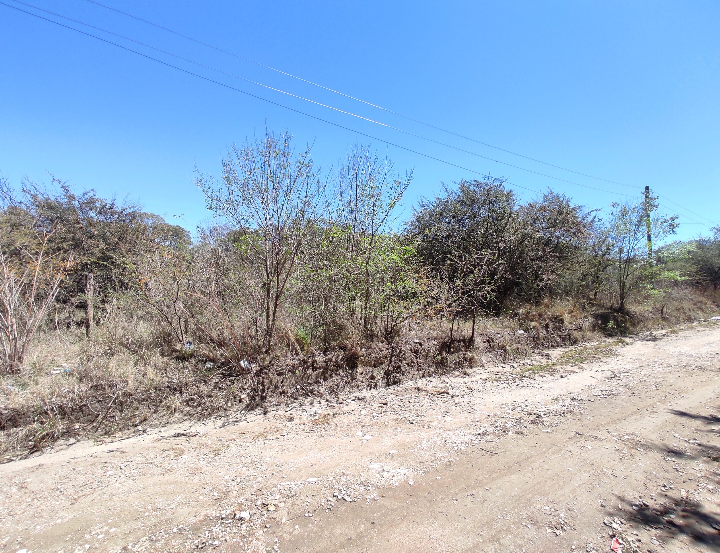 xr:d:DAENlLFZxZM:4545,j:43729417491,t:22121520