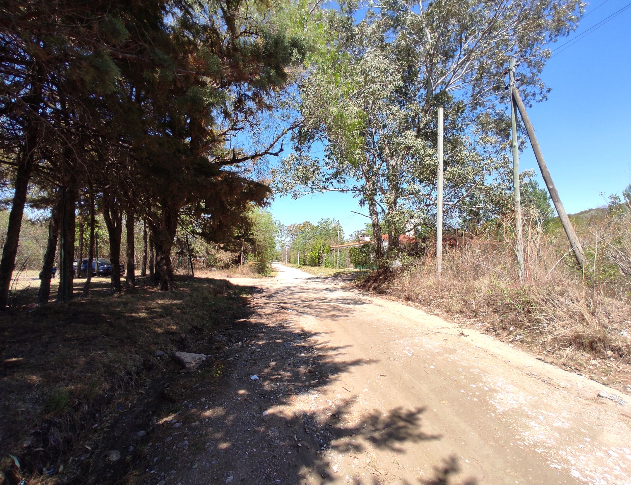 xr:d:DAENlLFZxZM:4544,j:43729351903,t:22121520